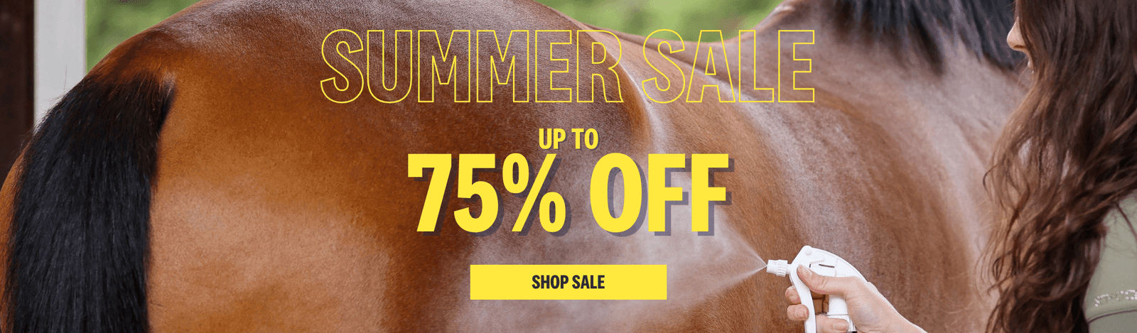75% Off Summer Sale