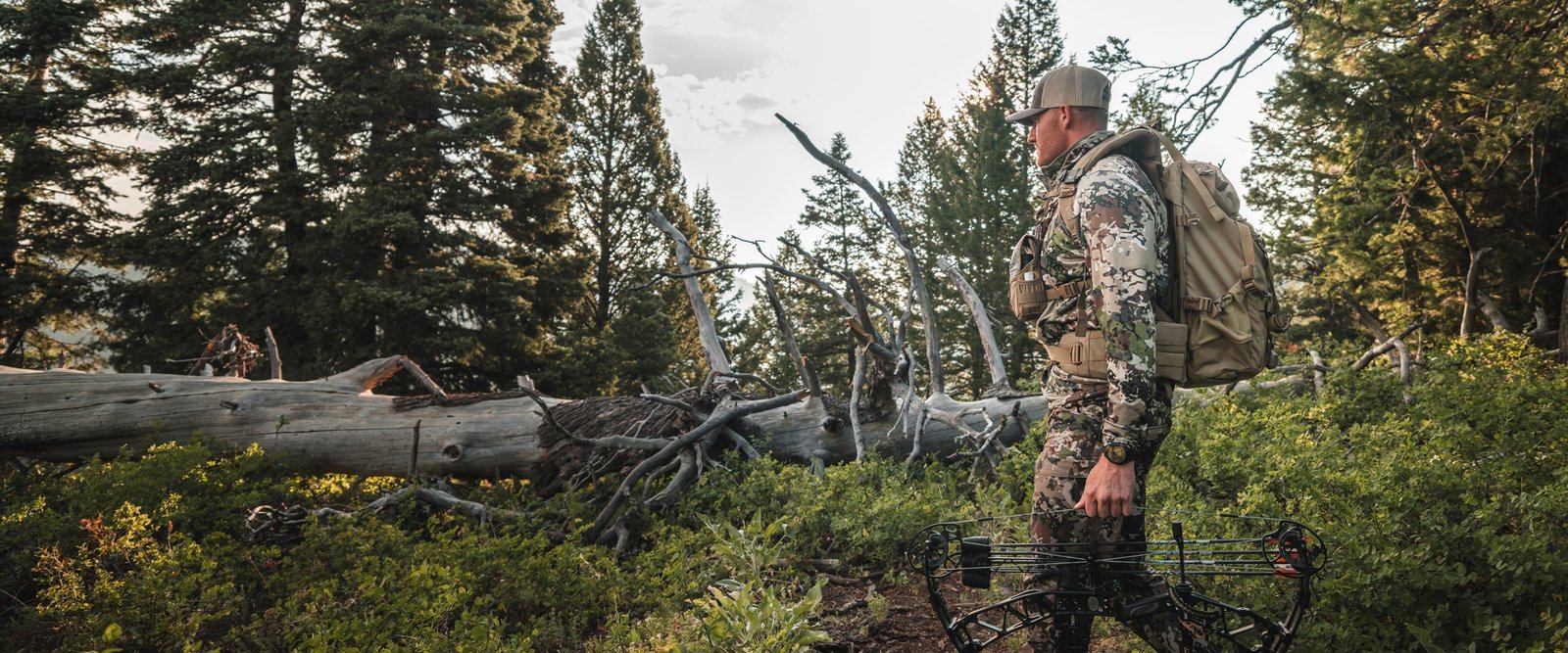 25% Off Gear Sale